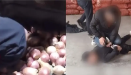民警查获大货车假借运输洋葱藏匿毒品案,手剥 民警查获大货车假借运输洋葱藏匿毒品案,手剥