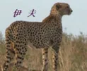 天下风物——《齐鲁大地曾三足鼎立的莒国》风光题照 天下风物——《齐鲁大地曾三足鼎立的莒国》风光题照