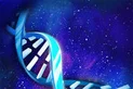 物种起源_1.2.6应用图标-在线下载,ios在线安装